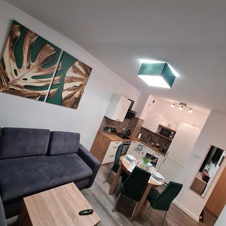 Apartament Nad Klifem W Dziwnowku ジブヌベク エクステリア 写真